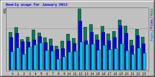 Hourly usage for January 2013