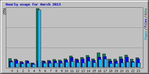 Hourly usage for March 2013